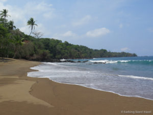 Read more about the article How to travel from San Jose to Bahia Drake, Osa Peninsula on a budget