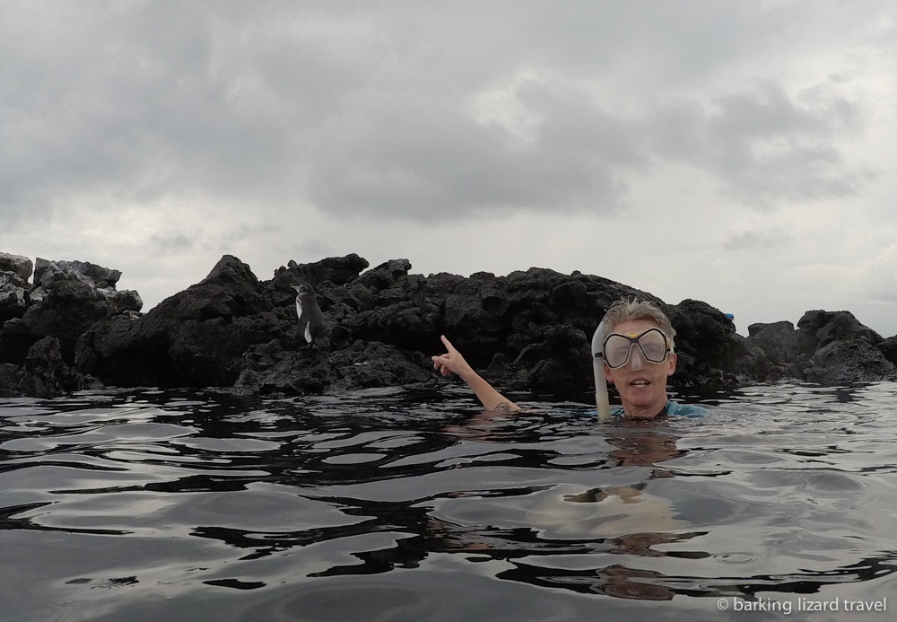 Lydia pointing out a Galapagos Island Penguin at Los Tuneles