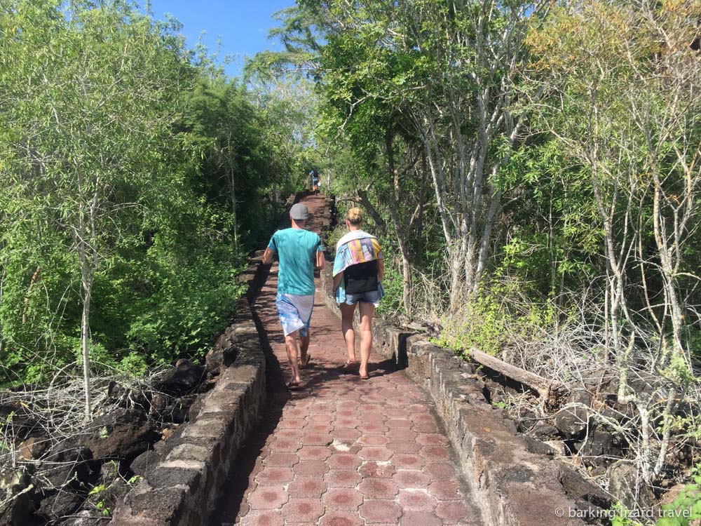 photo of the path leading to Tortuga Bay Galapagos islands