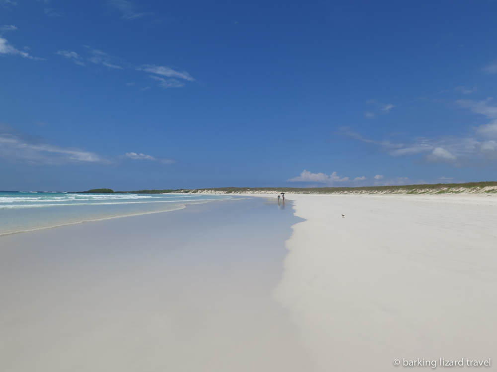 a photo of the white sand beach at tortuga bay galapagos islands