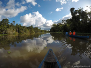 4 days in the amazing Amazon Rainforest in Northern Peru