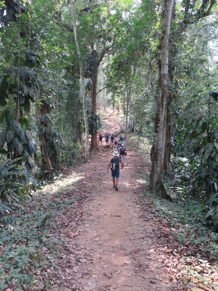 The group walking along in a forested section