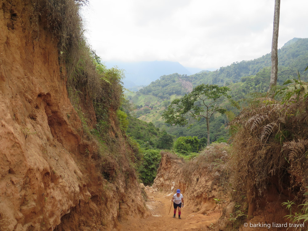 hiker on the Ciudad Perdida track