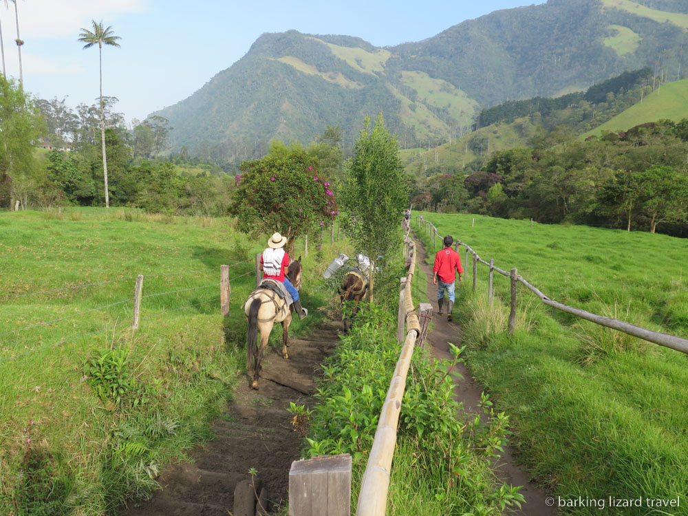 photo of a man walking and one on horseback walking towards the forest in the Valle de Cocora